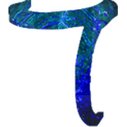 019