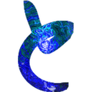 020