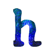 195