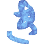 007