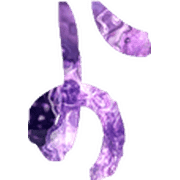 038