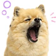 004