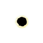 092