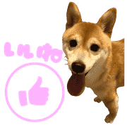 004