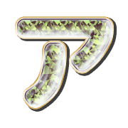 081