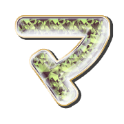 111