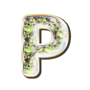 177