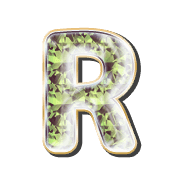 179