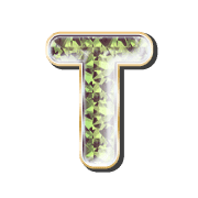 181