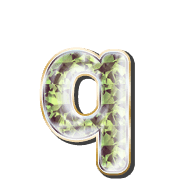 204