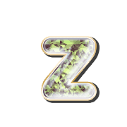 213