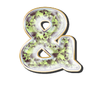 232