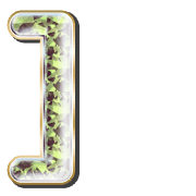 241