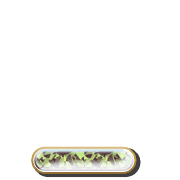 250