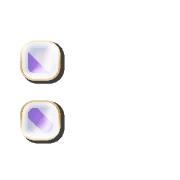 244