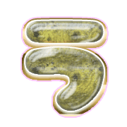 003