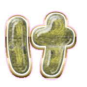 009