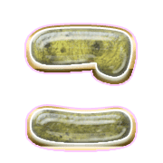 010