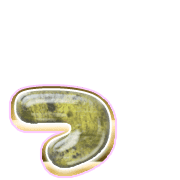 052