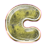 164