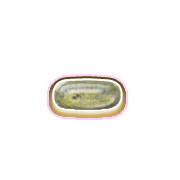 251