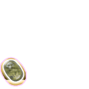 256