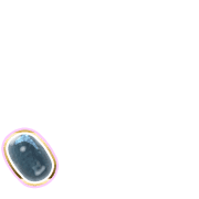256