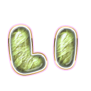 002