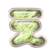 004