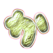 006