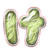 009