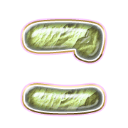 010