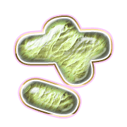 011