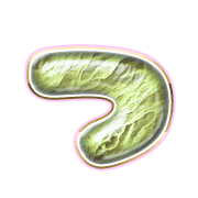 018