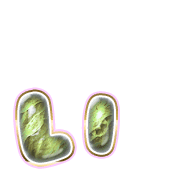 048