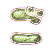 060