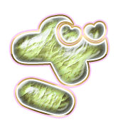061