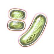 092