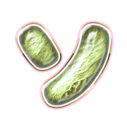 095