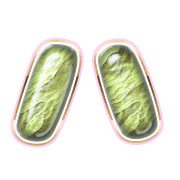 106
