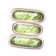 112