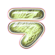 119