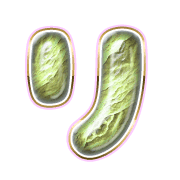 120