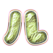 121