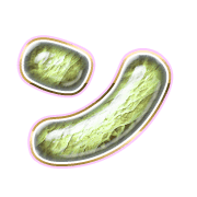 126