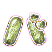 151