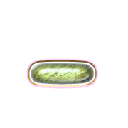 161