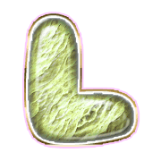 173