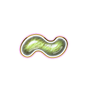 224