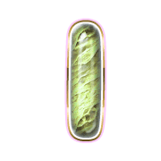 242